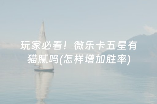 玩家必看！微乐卡五星有猫腻吗(怎样增加胜率)