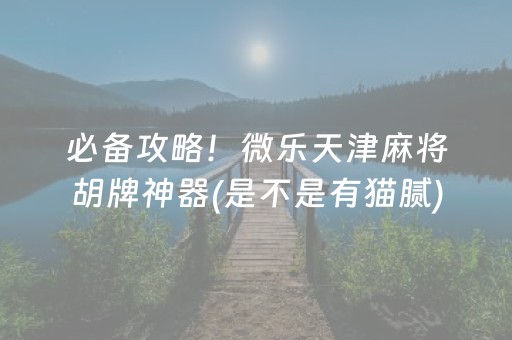 必备攻略！微乐天津麻将胡牌神器(是不是有猫腻)