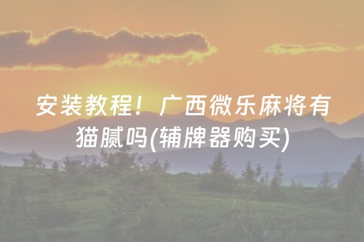 安装教程！广西微乐麻将有猫腻吗(辅牌器购买)