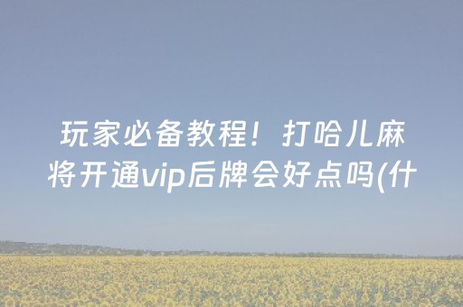 玩家必备教程！打哈儿麻将开通vip后牌会好点吗(什么软件可以赢)