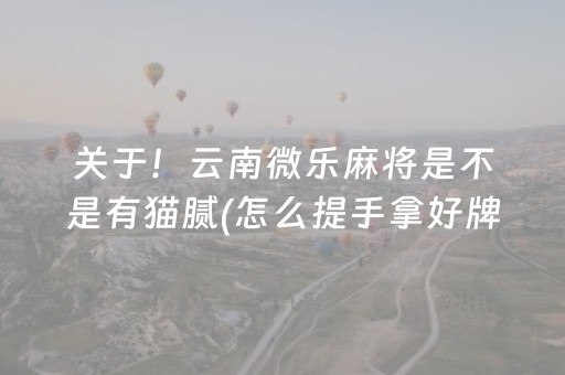 关于！云南微乐麻将是不是有猫腻(怎么提手拿好牌)