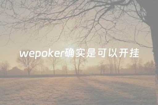wepoker确实是可以开挂（wepokerplus有没有挂）