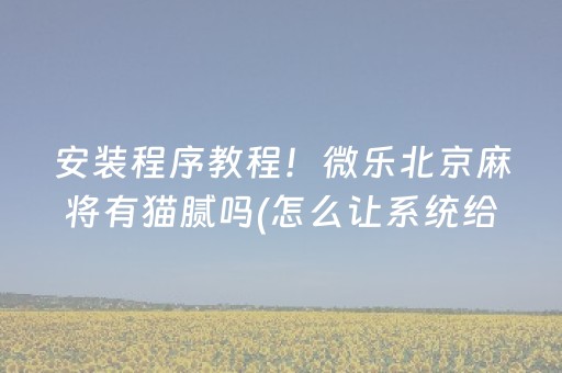 安装程序教程！微乐北京麻将有猫腻吗(怎么让系统给好牌)