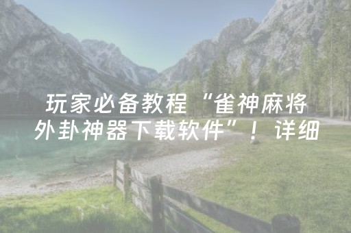 玩家必备教程“雀神麻将外卦神器下载软件”！详细开挂教程（确实真的有挂)-知乎