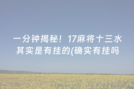一分钟揭秘！17麻将十三水其实是有挂的(确实有挂吗)