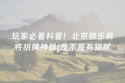玩家必看科普！北京微乐麻将胡牌神器(是不是有猫腻)