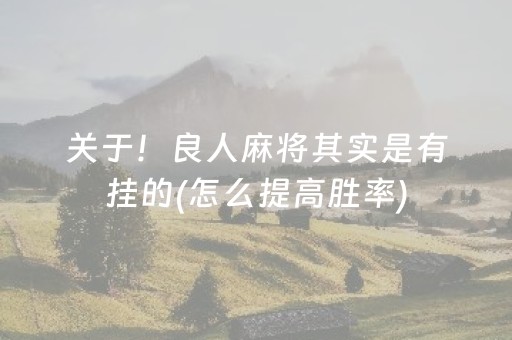 关于！良人麻将其实是有挂的(怎么提高胜率)