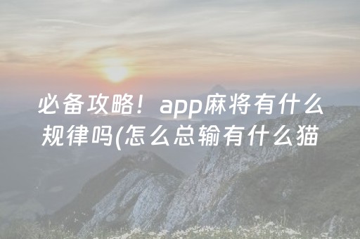 必备攻略！app麻将有什么规律吗(怎么总输有什么猫腻)