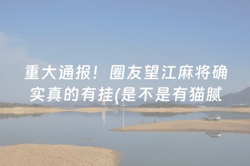 重大通报！圈友望江麻将确实真的有挂(是不是有猫腻)
