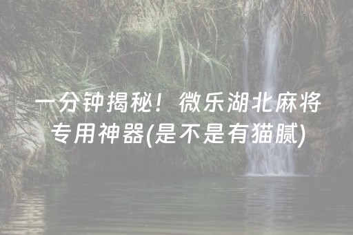一分钟揭秘！微乐湖北麻将专用神器(是不是有猫腻)