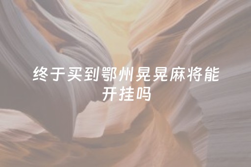 终于买到鄂州晃晃麻将能开挂吗（鄂州晃晃）