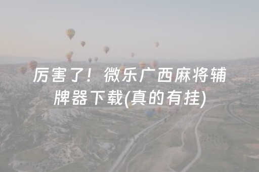 厉害了！微乐广西麻将辅牌器下载(真的有挂)