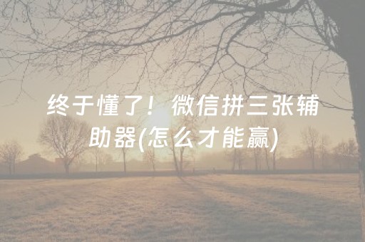 终于懂了！微信拼三张辅助器(怎么才能赢)