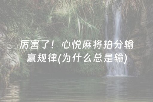 厉害了！心悦麻将拍分输赢规律(为什么总是输)