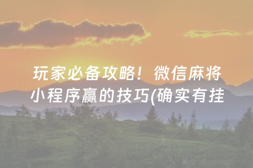 玩家必备攻略！微信麻将小程序赢的技巧(确实有挂)