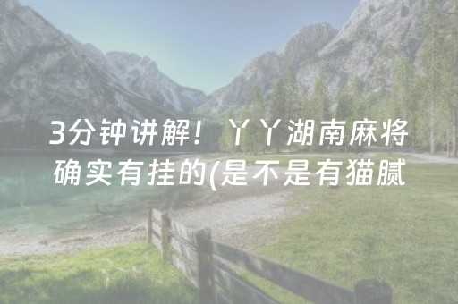 3分钟讲解！丫丫湖南麻将确实有挂的(是不是有猫腻)