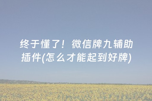 终于懂了！微信牌九辅助插件(怎么才能起到好牌)