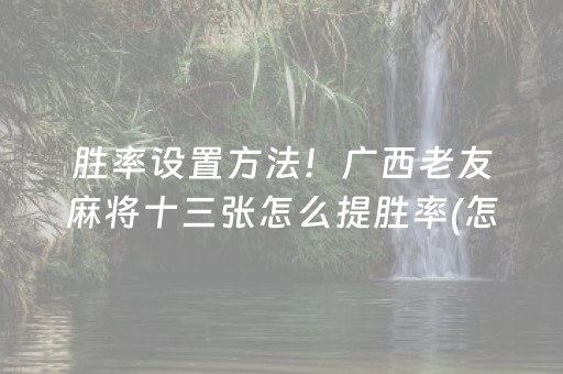 胜率设置方法！广西老友麻将十三张怎么提胜率(怎么才能来好牌)