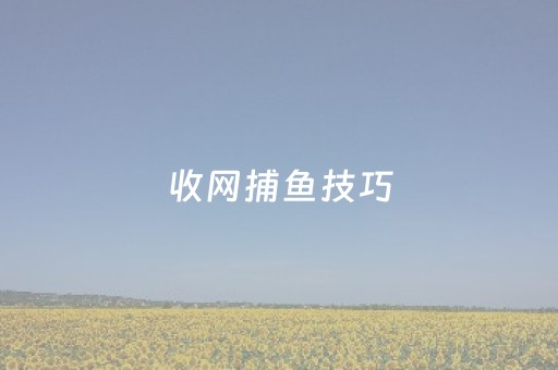 收网捕鱼技巧（渔网捕鱼教程）