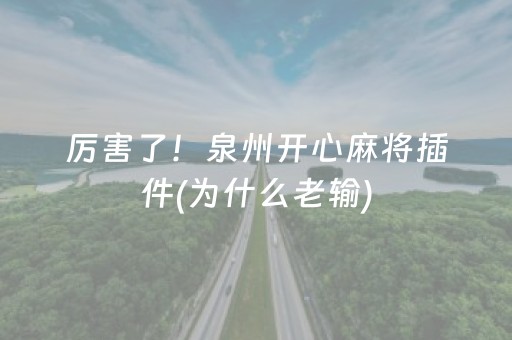 厉害了！泉州开心麻将插件(为什么老输)