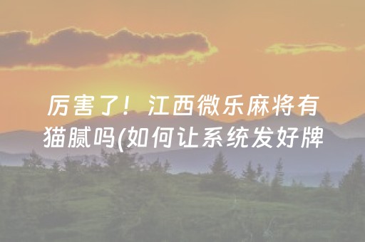 厉害了！江西微乐麻将有猫腻吗(如何让系统发好牌)