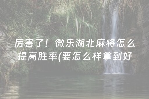 厉害了！微乐湖北麻将怎么提高胜率(要怎么样拿到好牌)