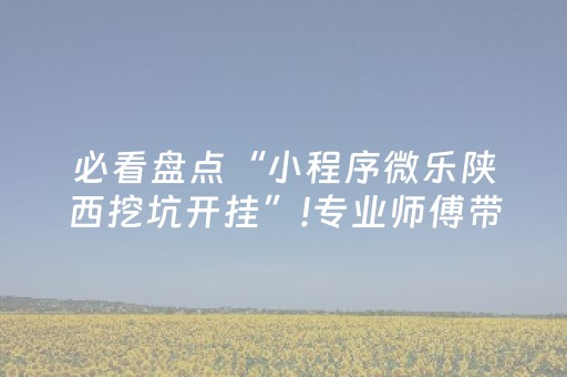 必看盘点“小程序微乐陕西挖坑开挂”!专业师傅带你一起了解（详细教程）-知乎
