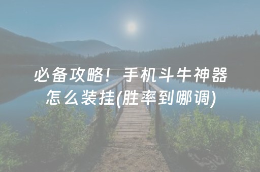 必备攻略！手机斗牛神器怎么装挂(胜率到哪调)