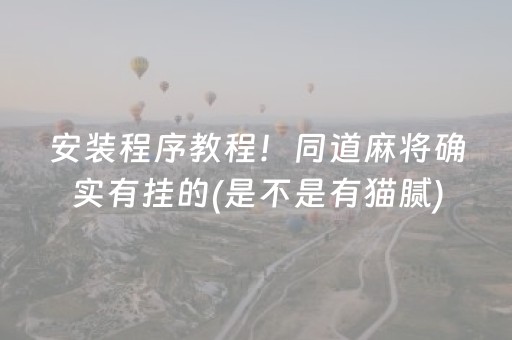 安装程序教程！同道麻将确实有挂的(是不是有猫腻)
