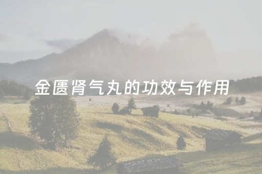 金匮肾气丸的功效与作用（附子理中丸搭配金匮肾气丸的功效与作用）