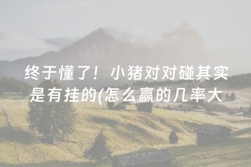 终于懂了！小猪对对碰其实是有挂的(怎么赢的几率大)