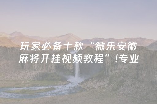 玩家必备十款“微乐安徽麻将开挂视频教程”!专业师傅带你一起了解（详细教程）-知乎