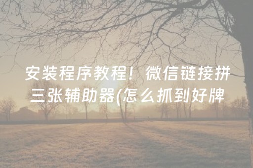 安装程序教程！微信链接拼三张辅助器(怎么抓到好牌)