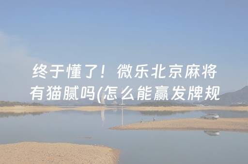 终于懂了！微乐北京麻将有猫腻吗(怎么能赢发牌规律)