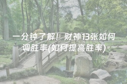 一分钟了解！财神13张如何调胜率(如何提高胜率)