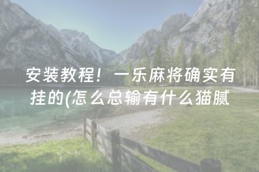 安装教程！一乐麻将确实有挂的(怎么总输有什么猫腻)