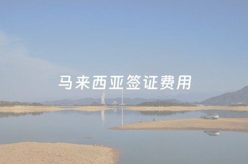马来西亚签证费用（马来西亚签证费用折合人民币多少钱）