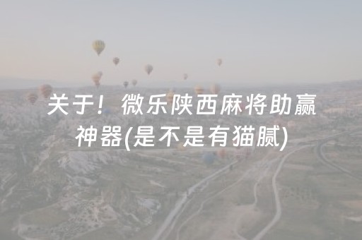 关于！微乐陕西麻将助赢神器(是不是有猫腻)