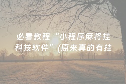 必看教程“小程序麻将挂科技软件”(原来真的有挂)-知乎