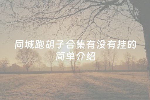 同城跑胡子合集有没有挂的简单介绍（同城跑胡子合集123）
