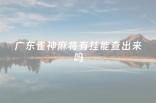 广东雀神麻将有挂能查出来吗（小程序雀神广东雀神麻将挂）