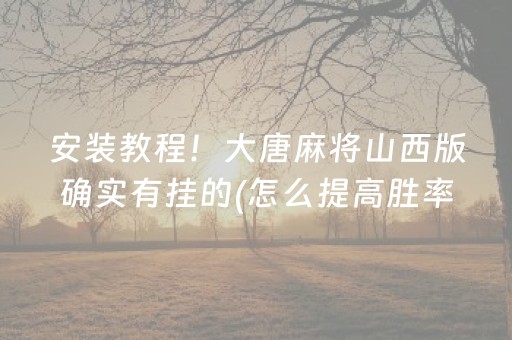 安装教程！大唐麻将山西版确实有挂的(怎么提高胜率)