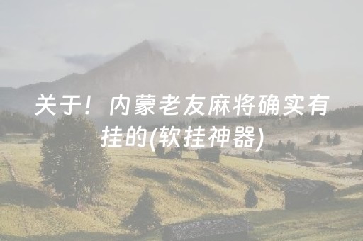 关于！内蒙老友麻将确实有挂的(软挂神器)