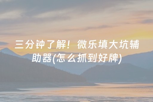三分钟了解！微乐填大坑辅助器(怎么抓到好牌)