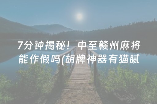 7分钟揭秘！中至赣州麻将能作假吗(胡牌神器有猫腻吗)