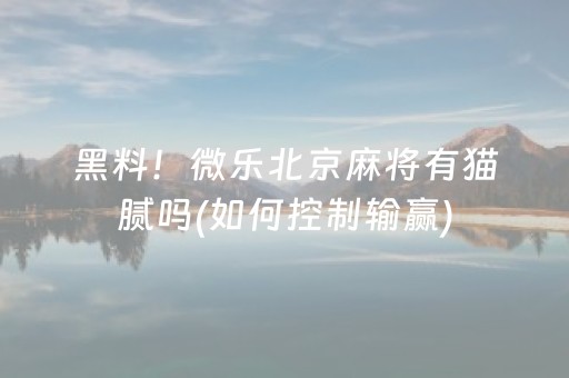 黑料！微乐北京麻将有猫腻吗(如何控制输赢)