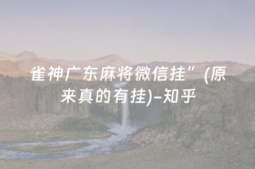 雀神广东麻将微信挂”(原来真的有挂)-知乎