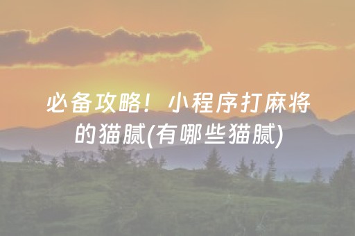 必备攻略！小程序打麻将的猫腻(有哪些猫腻)