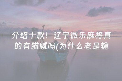 介绍十款！辽宁微乐麻将真的有猫腻吗(为什么老是输)