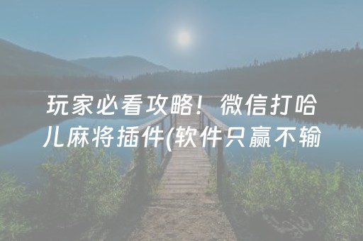 玩家必看攻略！微信打哈儿麻将插件(软件只赢不输)